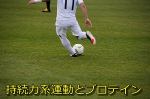 持続力系運動とプロテイン