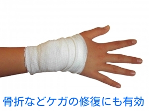 骨折などケガの修復にも有効