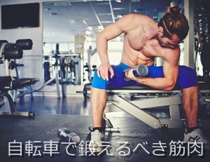 自転車で鍛えるべき筋肉