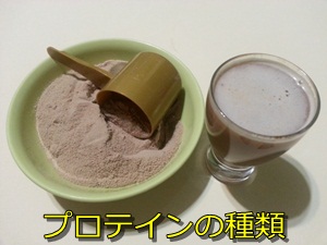 プロテインの種類