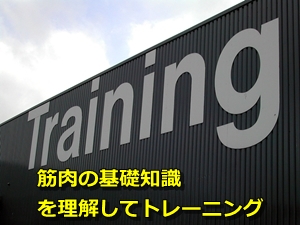 トレーニング