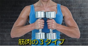 筋肉の３タイプ